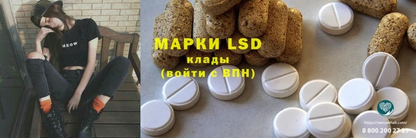 прущие грибы Балахна
