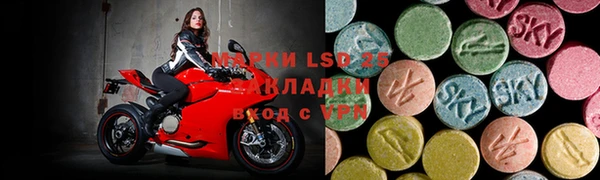 прущие грибы Балахна