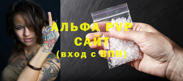 прущие грибы Балахна