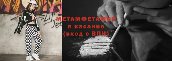 прущие грибы Балахна