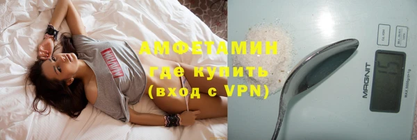прущие грибы Балахна