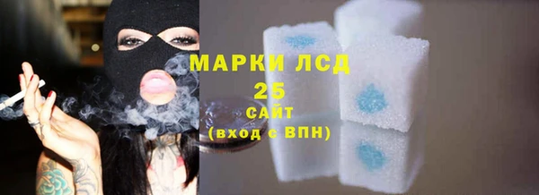 прущие грибы Балахна