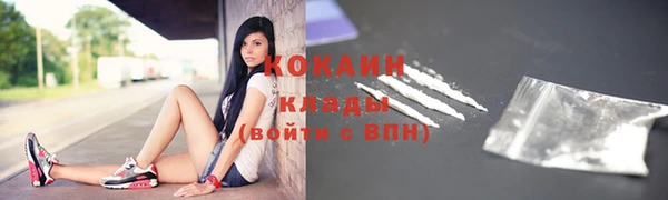 прущие грибы Балахна