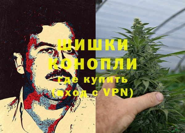 прущие грибы Балахна