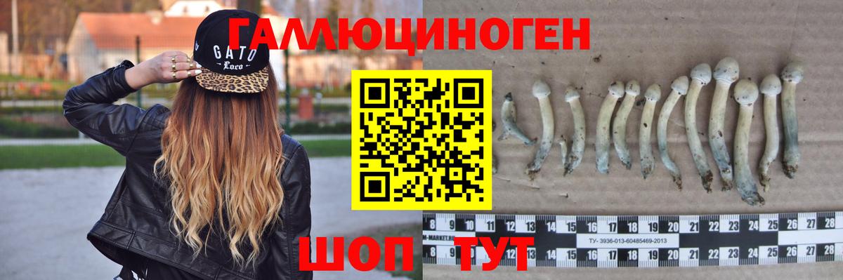 Псилоцибиновые грибы мухоморы  Вход с VPN  Губаха  Галлюциногенные грибы GOLDEN TEACHER 