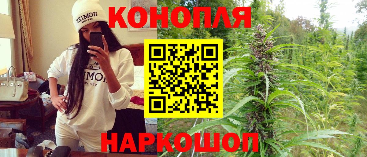 Губаха  Канабис план  Вход с VPN  Каннабис индика  Бошки марихуана планчик  Бошки Шишки план 